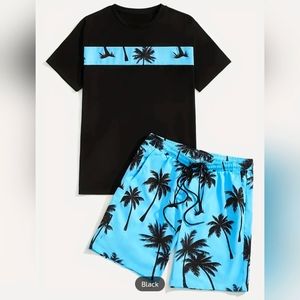 Men's 2pcs t-shirt and short set